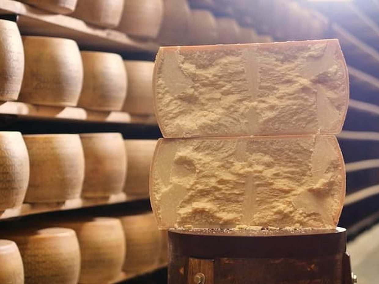 Parmigiano-Reggiano Käserei Kleingruppen-Tour Ab Parma in Italien