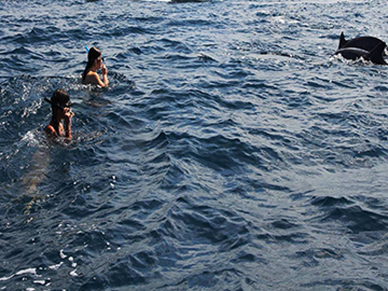 Kizimkazi Dolphin Tour in Tanzania, Zanzibar, photo 2