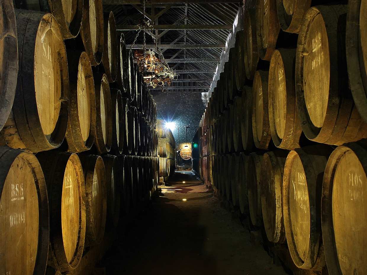 Private Setúbal Region Wine Tasting in Portugal, Lisbon, photo 2