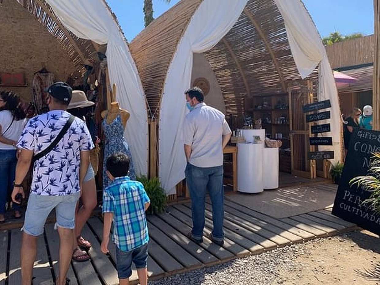 6 Hour Guided Tour in Todos Santos, photo 4