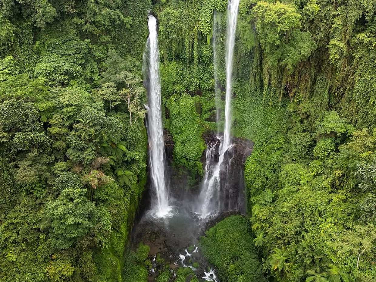 Bali: Sekumpul Waterfalls, Rice Terraces, and Fuji Waterfall in Indonesia