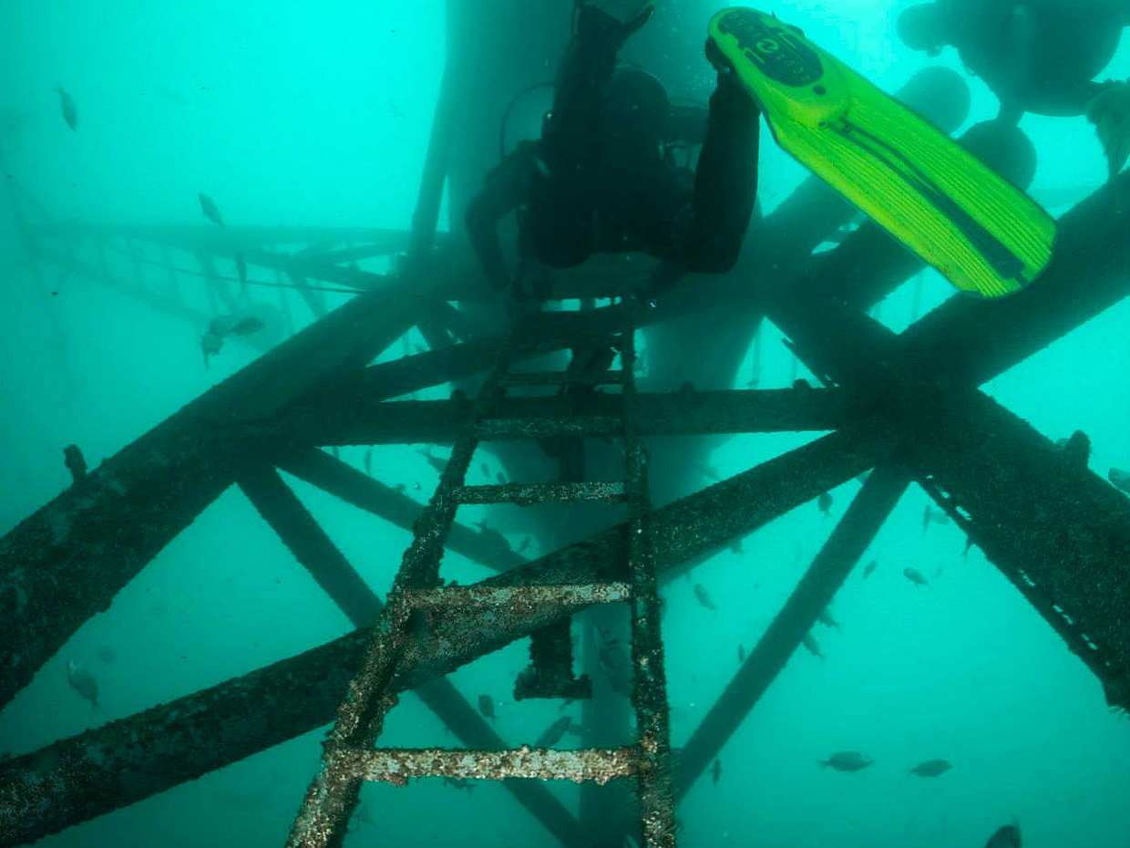 Duplo Mergulho no Fantástico Parque Ocean Revival para Mergulhadores Certificados em Portugal, Lagos.
, photo 4