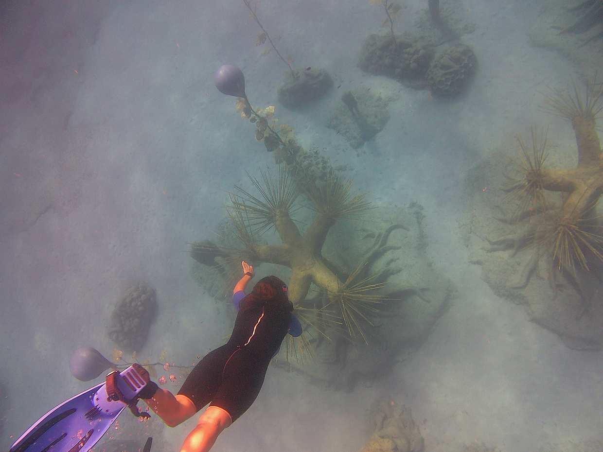 Snorkelling on MUSAN (underwater museum of Ayia Napa), photo 2