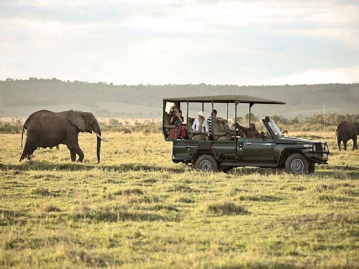 From Zanzibar: Selous Safari 2-day Private Tour with Flight in Tanzania
