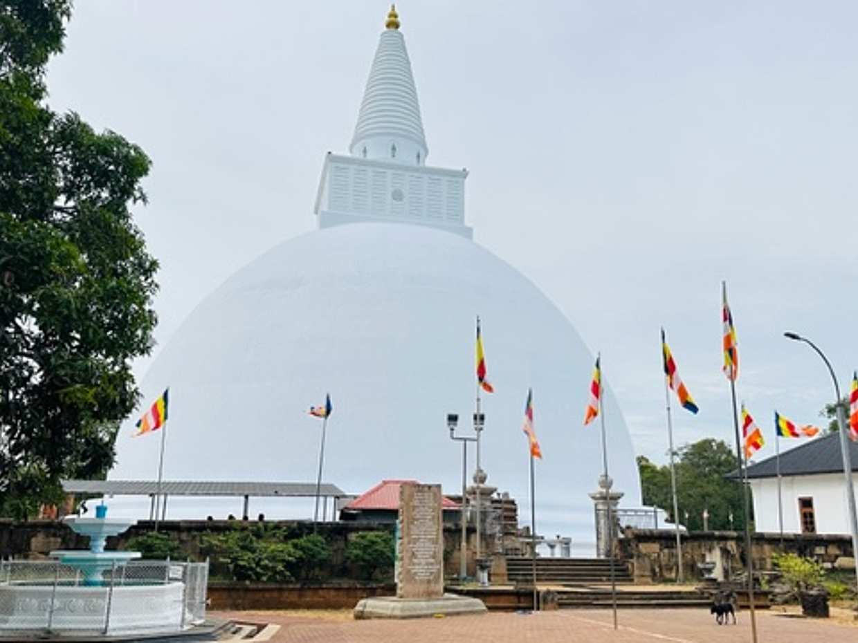 One Day Tour to Historical City Anuradhapura from Colombo in Sri Lanka, photo 4