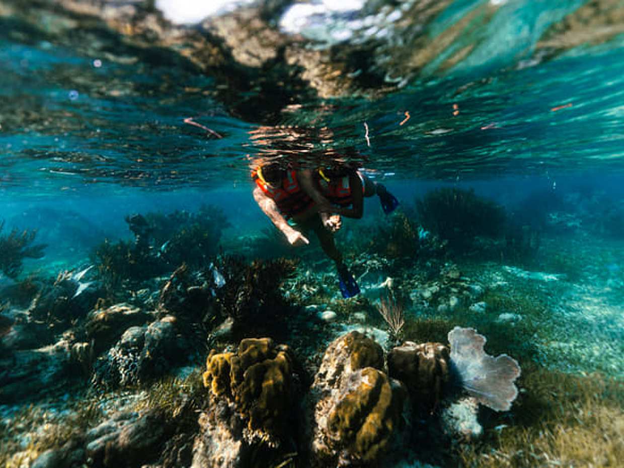 Puerto Morelos Reef Snorkeling Adventure with beachside lunch  in Mexico, photo 5
