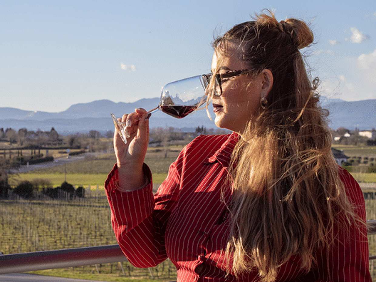 Tasting of 6 wines with vineyard and cellar tour in Lazise