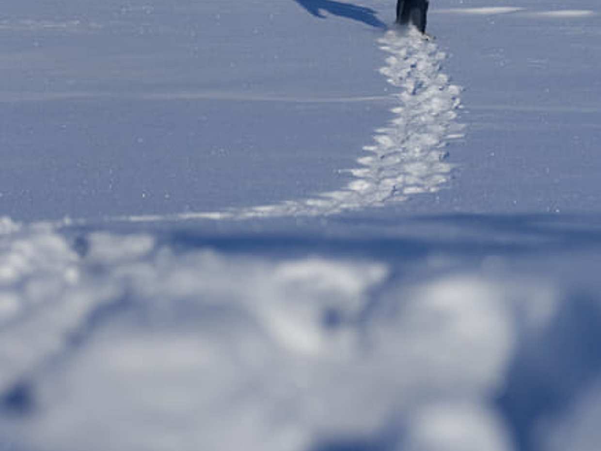 Day Trip - Snowshoeing in Bodø, Northern Norway, photo 4