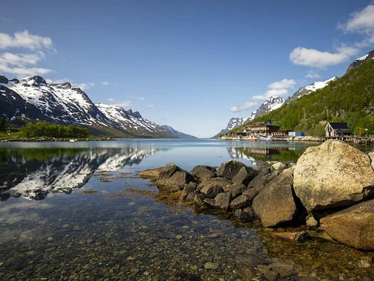 Tromsø: Fjord Adventure Tour with Wildlife and Lunch