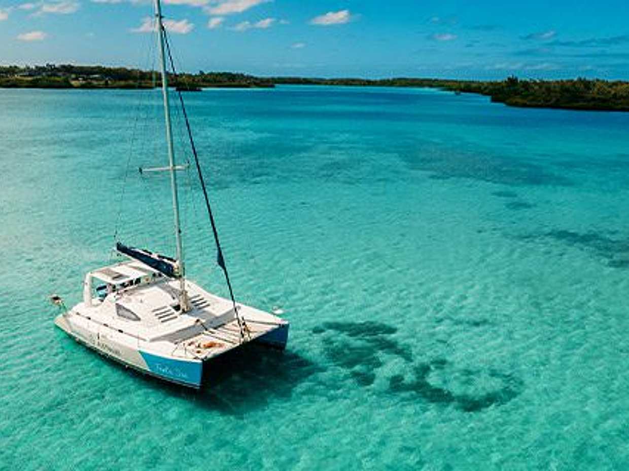 Full Day Catamaran Trip: Dolphin Encounter in the South West + Visit Benitiers Island, Mauritius
