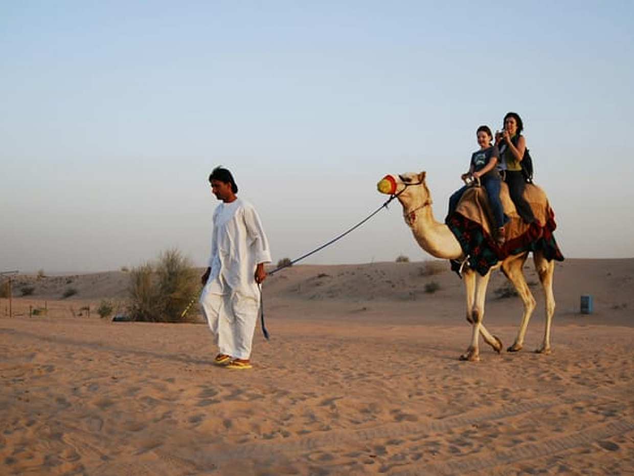 6-Day Private Mewar & Marwar Tour – Udaipur, Jodhpur, Jaisalmer & Sam Desert, photo 3