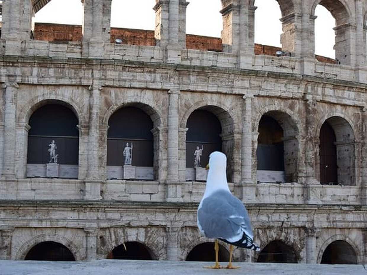 Private Rome Tour from Port: Vatican, Colosseum, Squares & Lunch, photo 2
