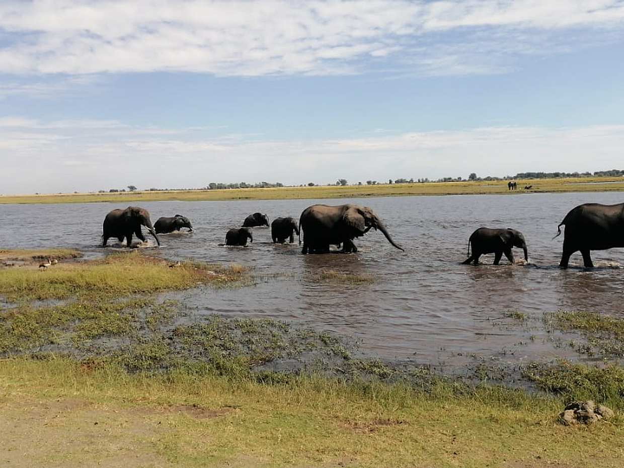 Halbtagesausflug nach Chobe in Sambia, Livingstone., photo 4