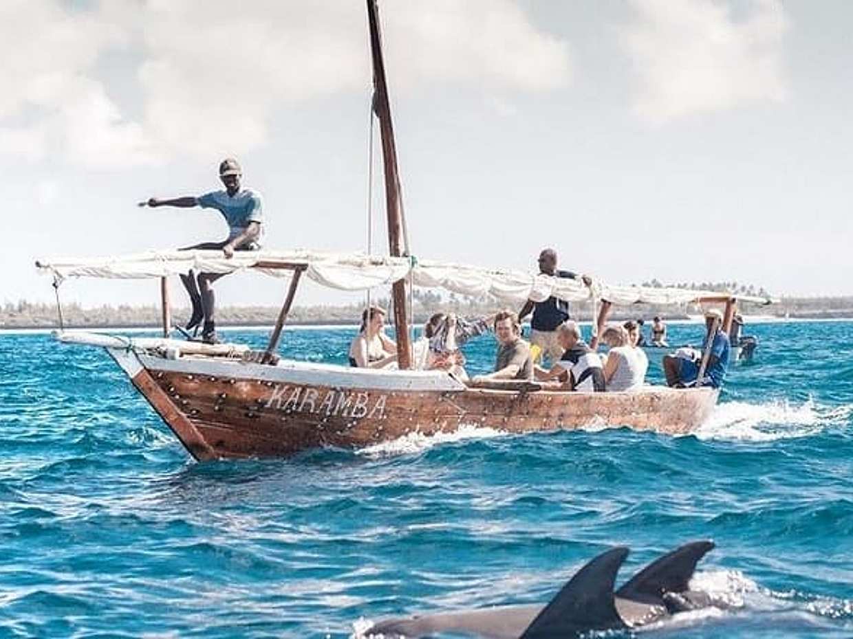 Kizimkazi Dolphin Tour in Zanzibar
