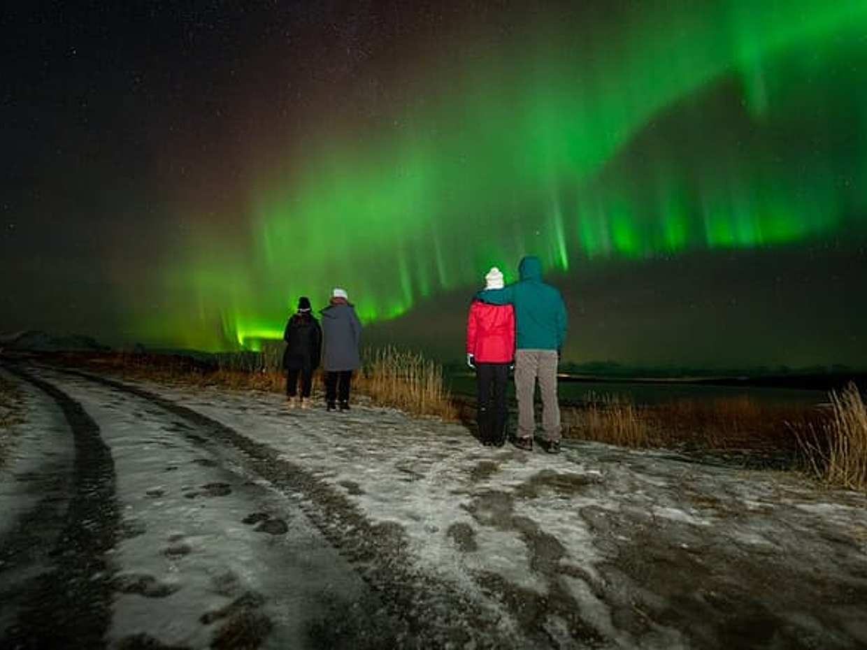 Northern Lights Tours Bodo Norway, photo 3