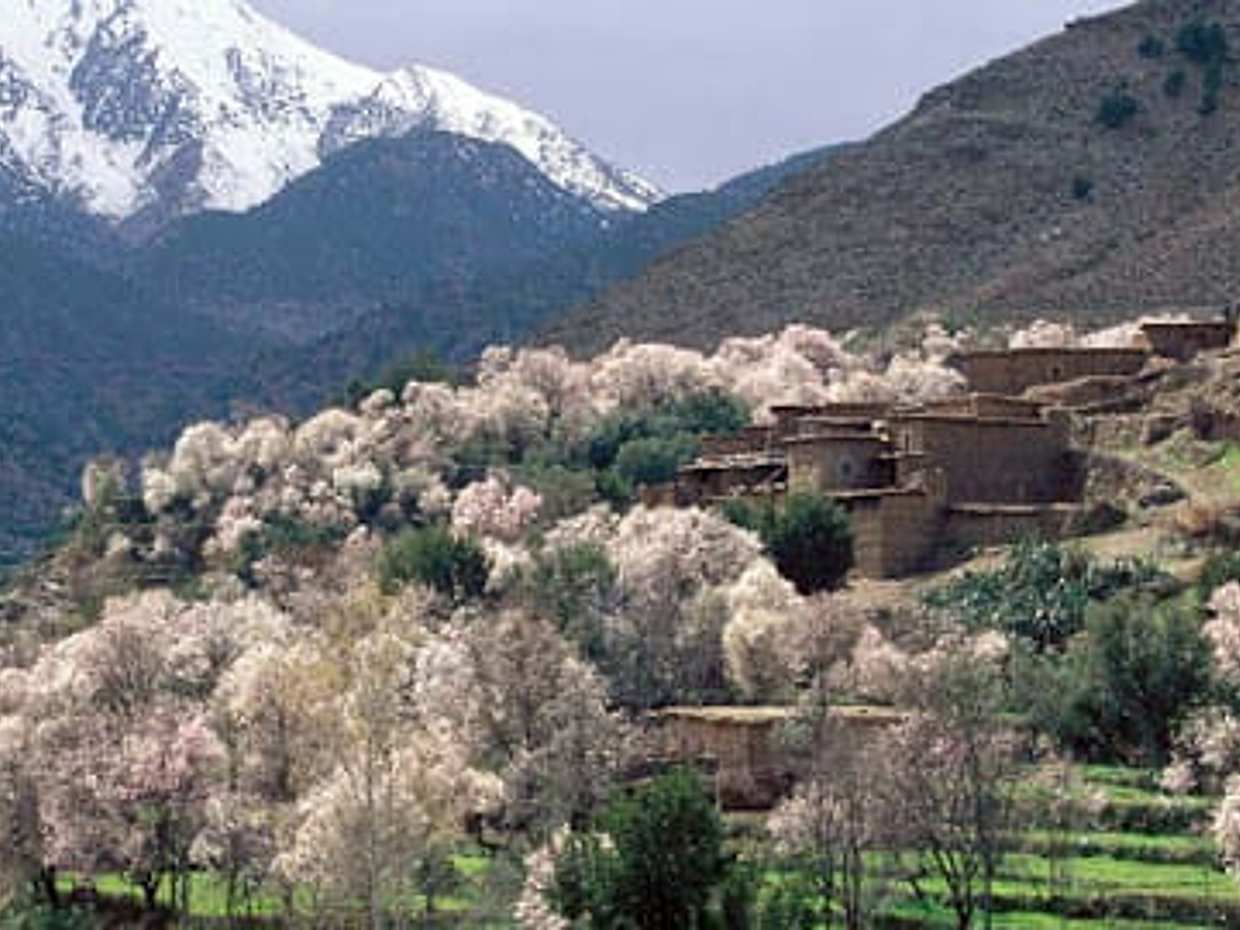 Asni & Tassa Ouirgane Full-Day Trip