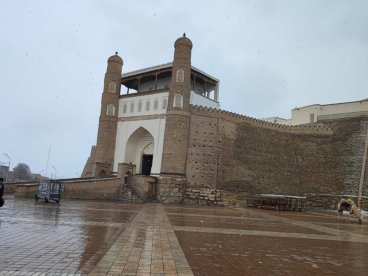 Puntos destacados del tour privado a pie por Bukhara en Uzbekistán, photo 5