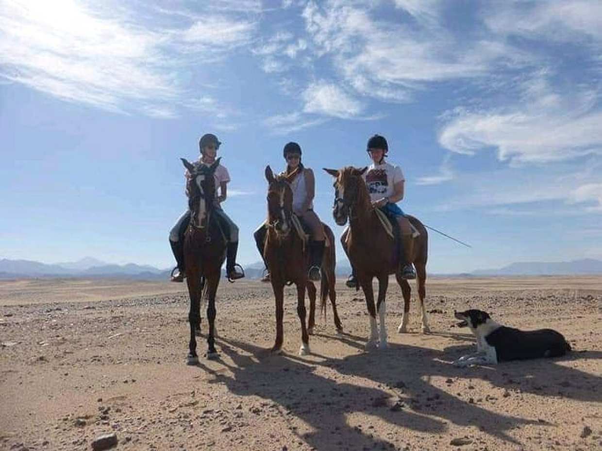 Horseback riding Marsa Alam