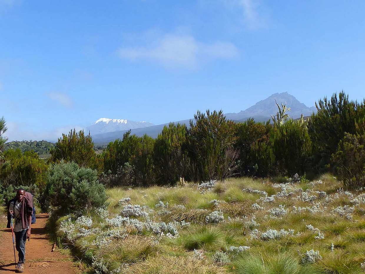 Kilimanjaro Day Hike в Танзании, Моши.
, photo 2