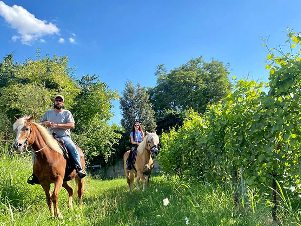 Horseback Riding with wine tasting in Lake Garda vineyards, photo 3