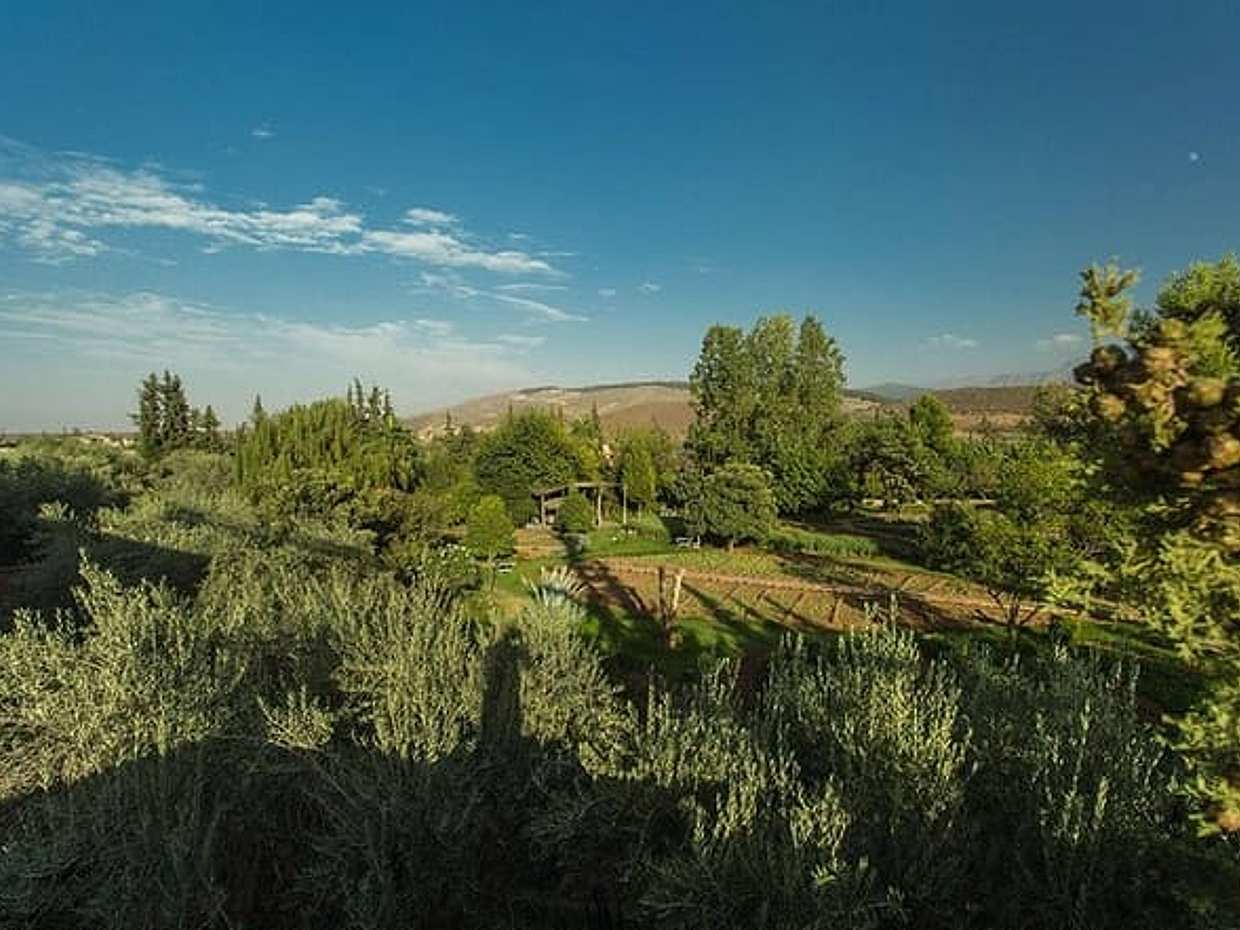 Bio Aromatique Garden Marrakech, photo 4
