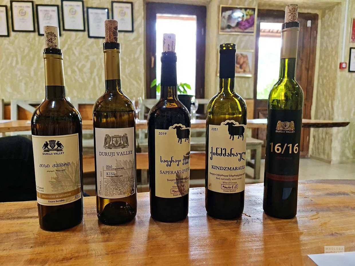 Kakheti Wine Tour: Signagi, Bodbe Monastery, Telavi with Wine Tasting in Georgia, photo 5