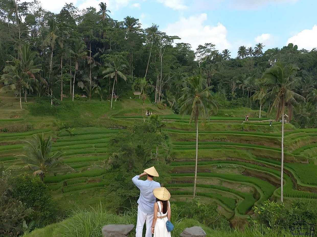 Best of Bali Jungle Swing with Ubud Sightseeing Tour, Indonesia, photo 3