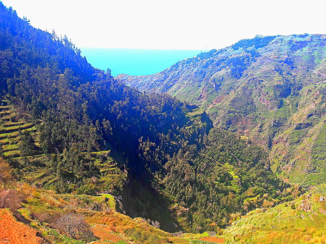 Valle de Serra de Água: Excursión de Senderismo de Medio Día en Portugal, Funchal
, photo 3