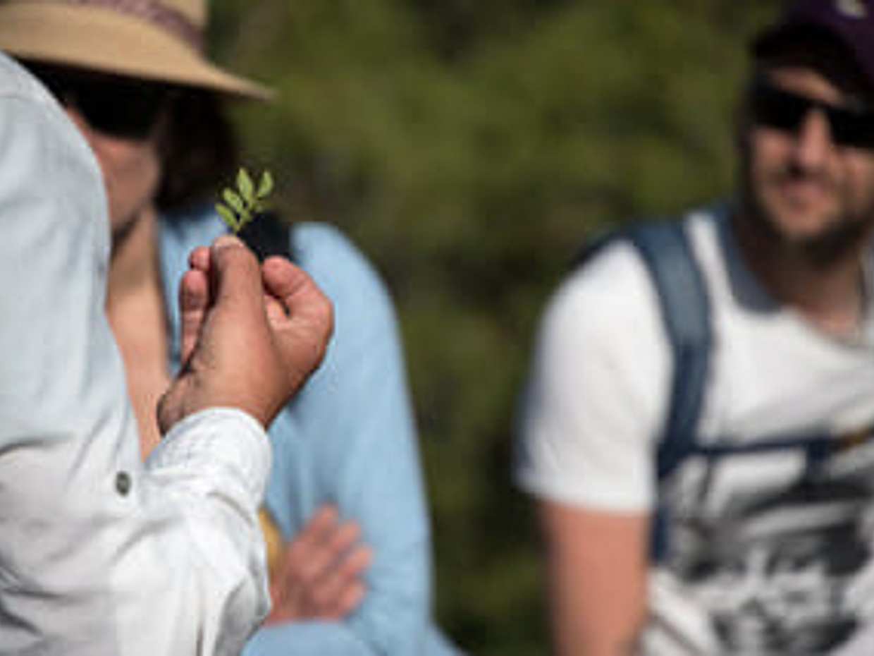 Randonnée - Sormiou et ses plantes magiques, photo 2