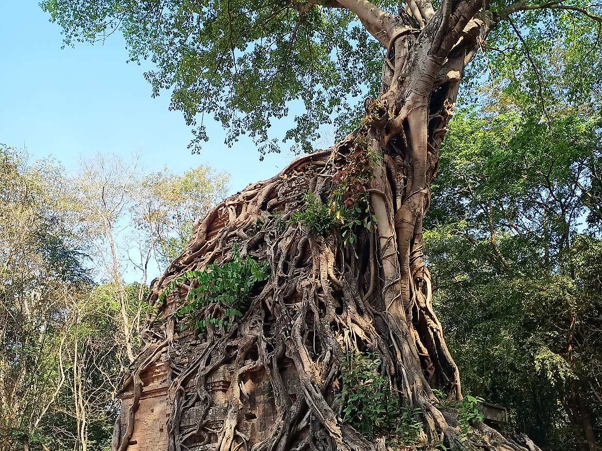 One Day Private Tour to Sambor Prei Kuk Group & Floating Village in Cambodia, Krong Siem Reap