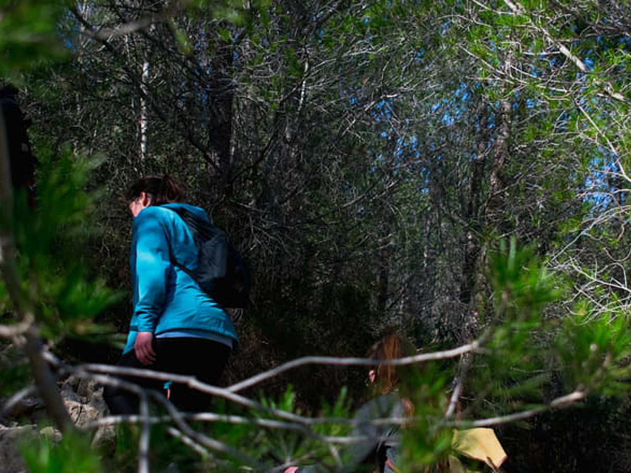 Hiking in the Calanques national park from Luminy, photo 5