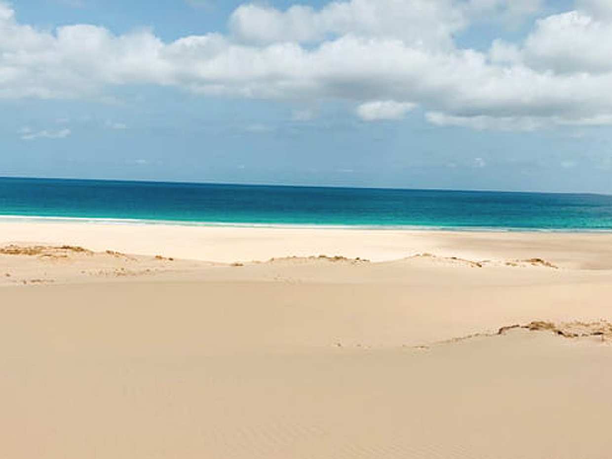 Boa Vista: ทัวร์อ่าวฉลามและเต่า, ทะเลทราย, ซากเรืออับปาง และหาด Santa Mónica ในกาบูเวร์ดี, Sal Rei, photo 4