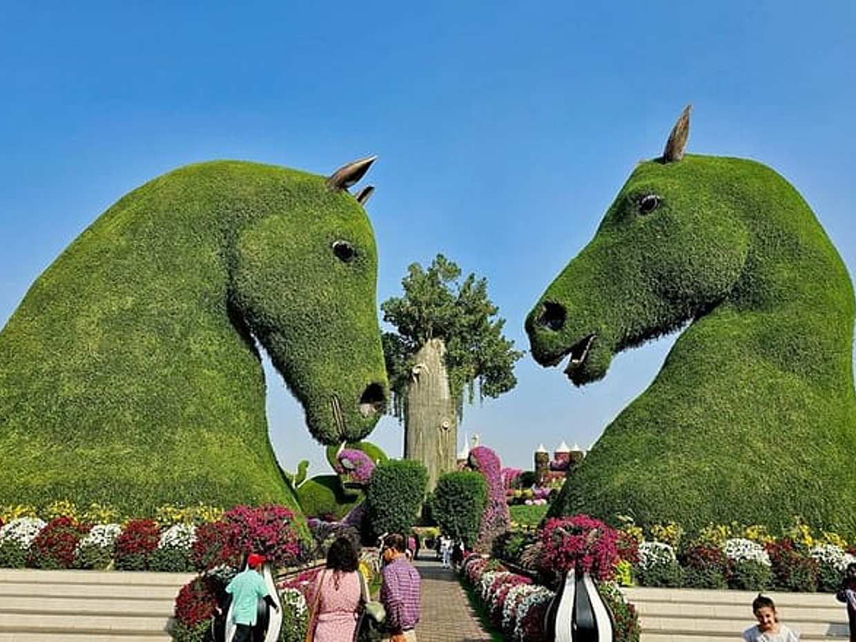 Dubai Combo: Dubai Frame with Miracle Garden Tickets, photo 3