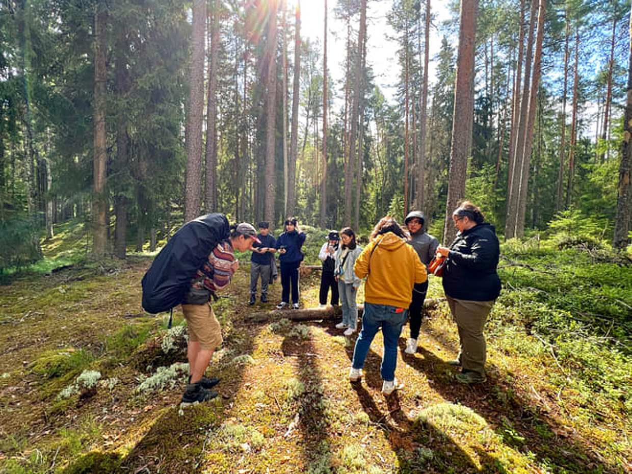 Mushroom Hunting, photo 2