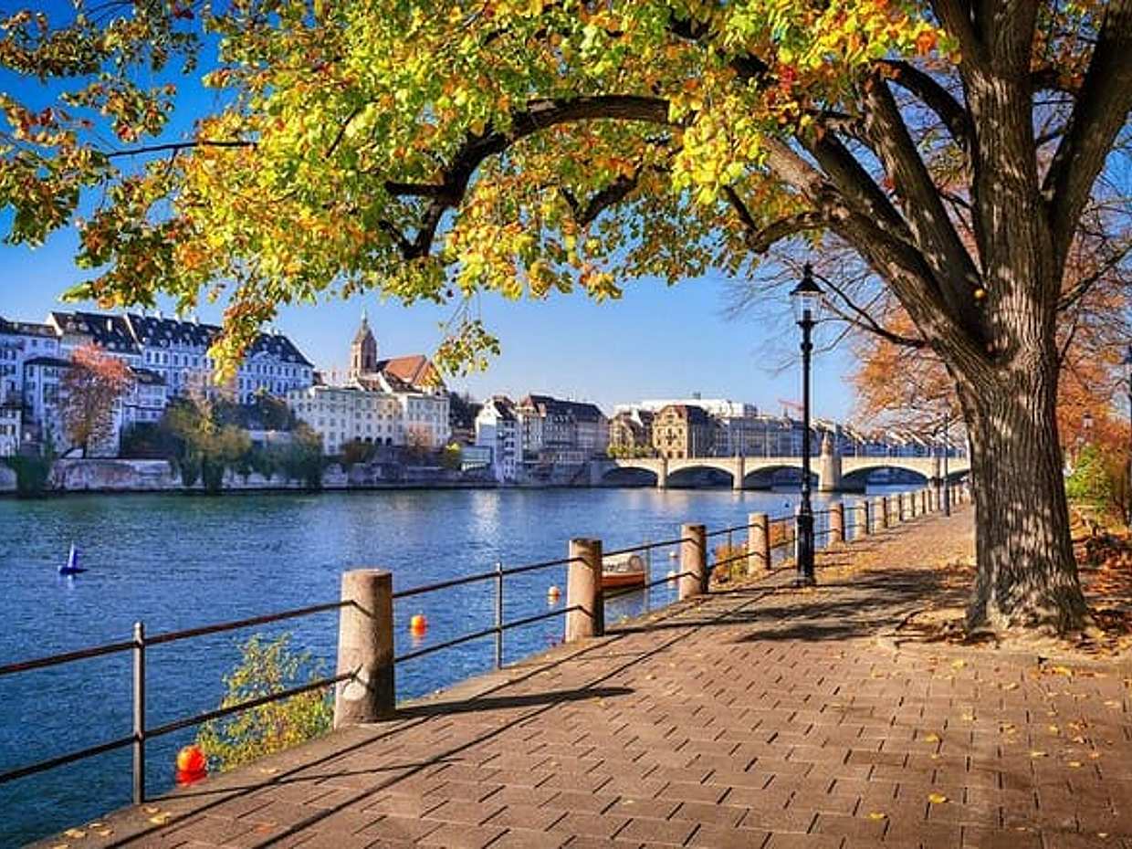 Door-to-Door private transfer and driver from Strasbourg to Basel in France, photo 5