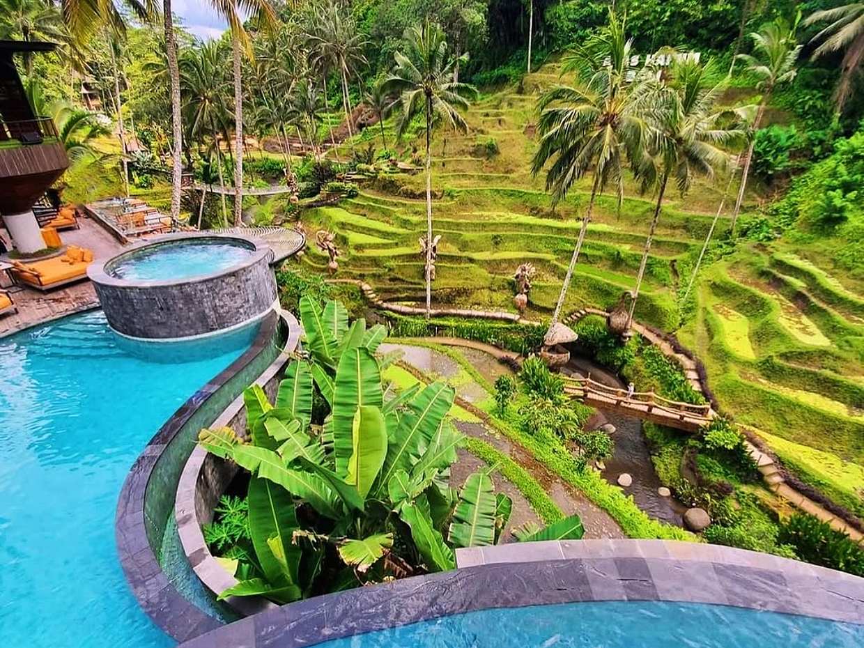 Ubud: Monkey Forest & Cretya Day Club in Indonesia, Bali, photo 2