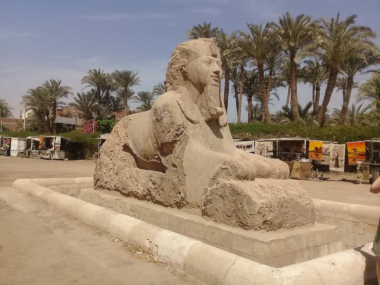 Private Ganztagestour: Gizeh-Pyramiden, Memphis und Sakkara in Ägypten, Kairo
, photo 2