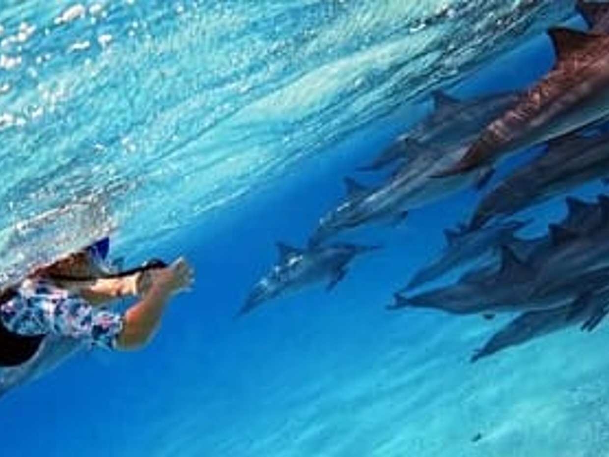 TH Special: Sataya Reef Gradens Snorkeling Day Trip