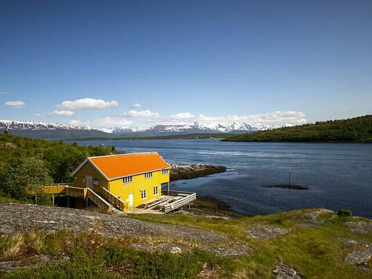 Tromsø: Fjord Adventure Tour with Wildlife and Lunch, photo 5