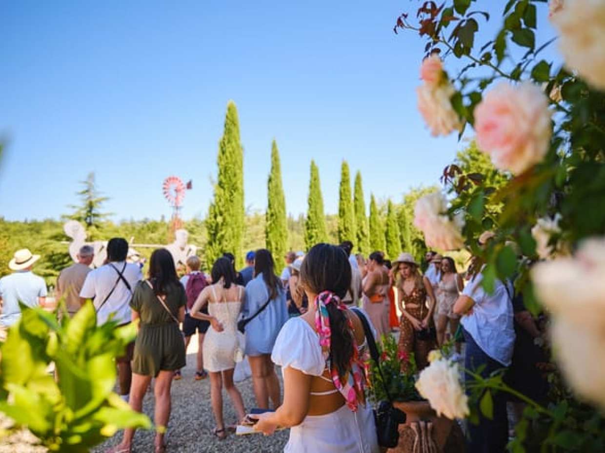 Full day private tour to Chianti wine region from Florence, photo 4