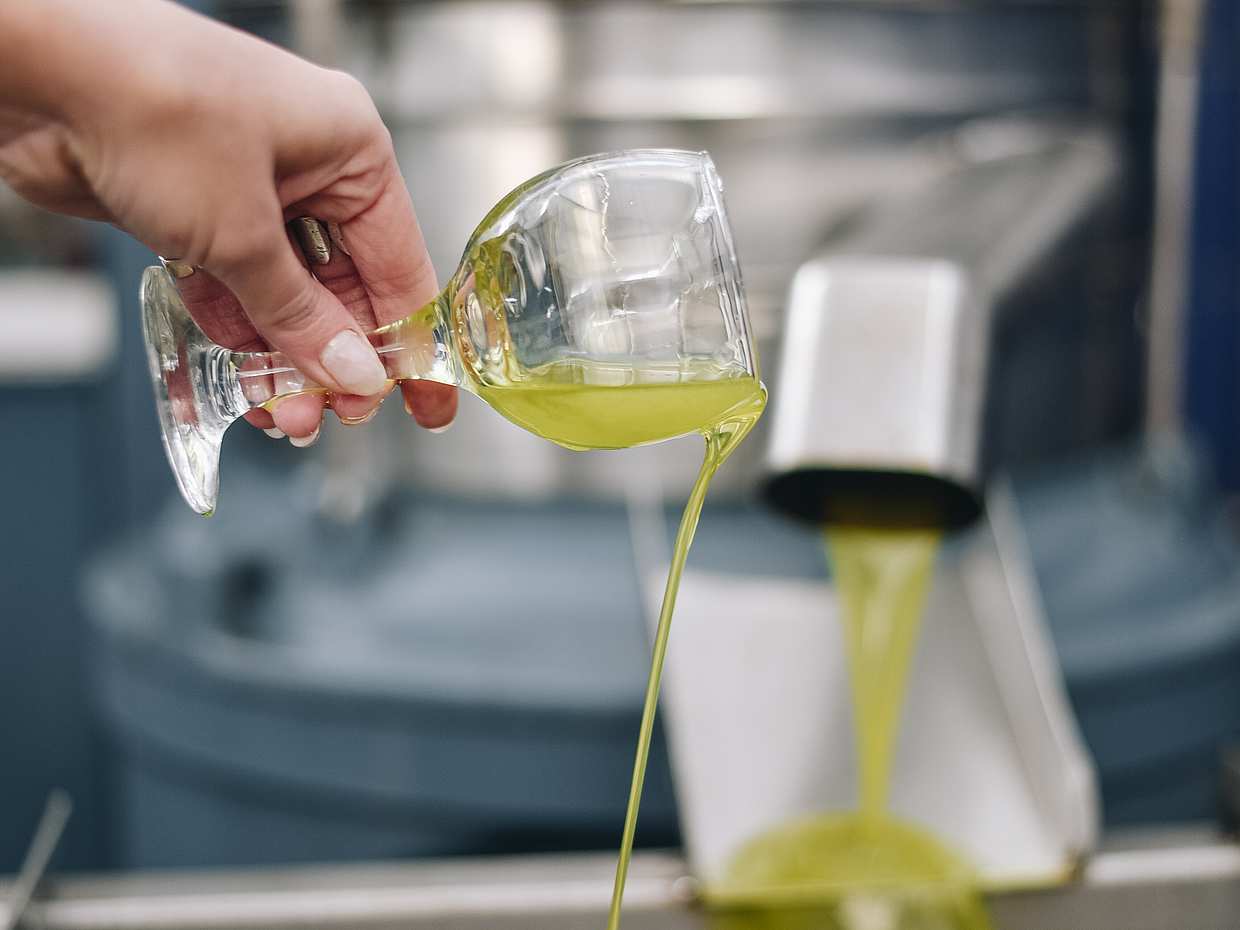 Olive Mill & Olive Oil Tasting Tour in Greece, Heraklion, photo 4