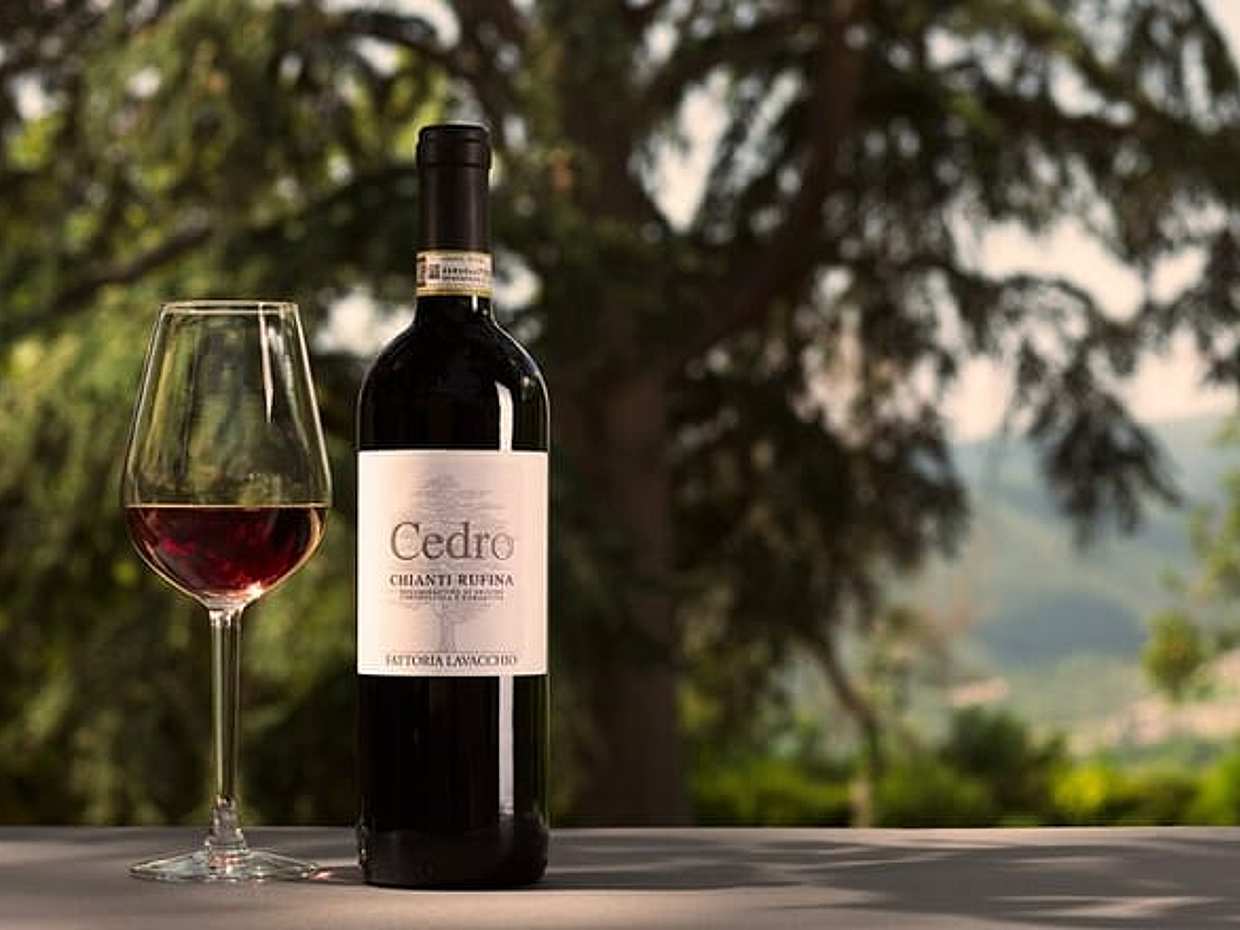 Exclusive Chianti Rufina Half Day Tour with Lunch from Florence, photo 3