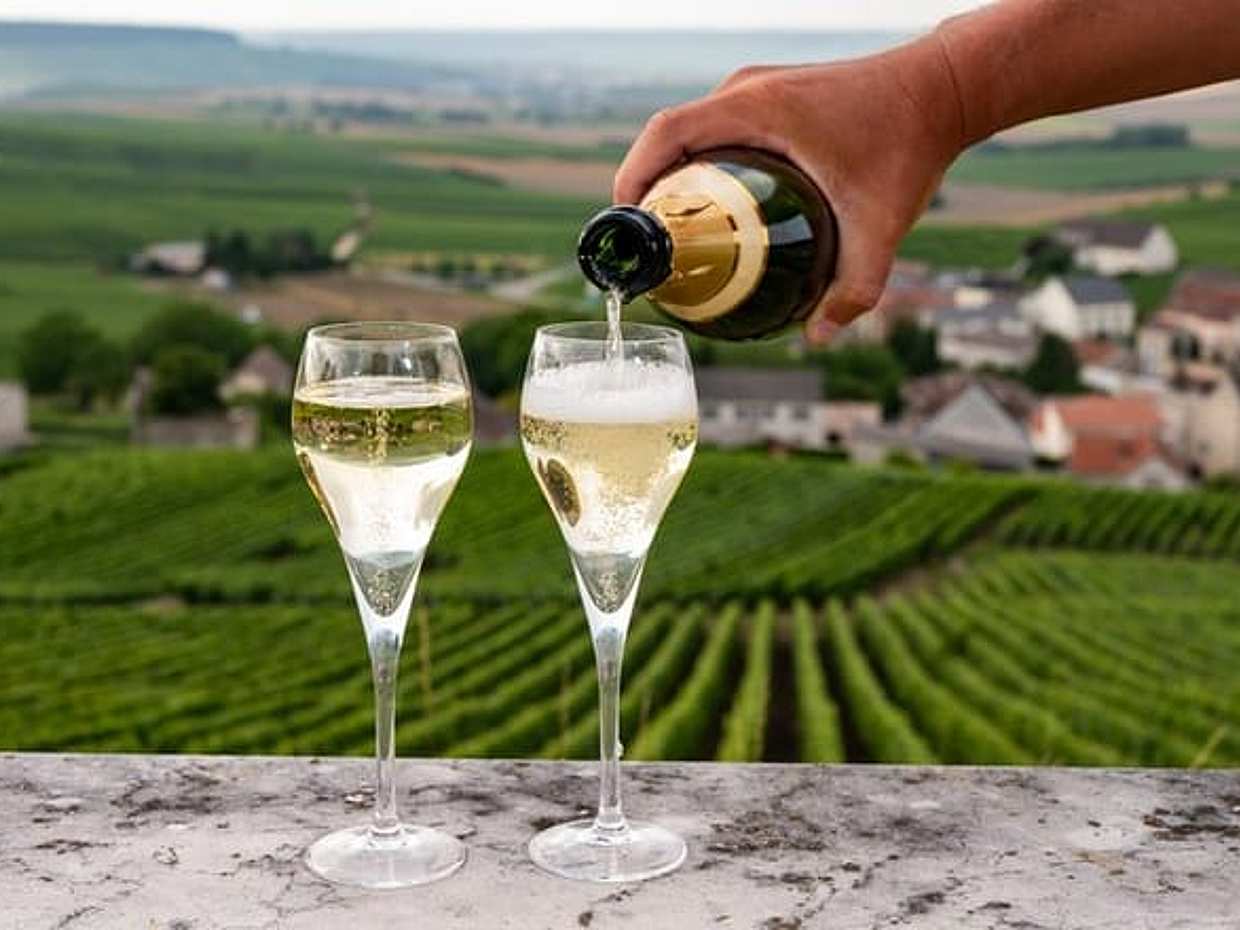 Private Champagne Day Trip - Two Vineyards of Reims & Lunch in France, Paris, photo 3