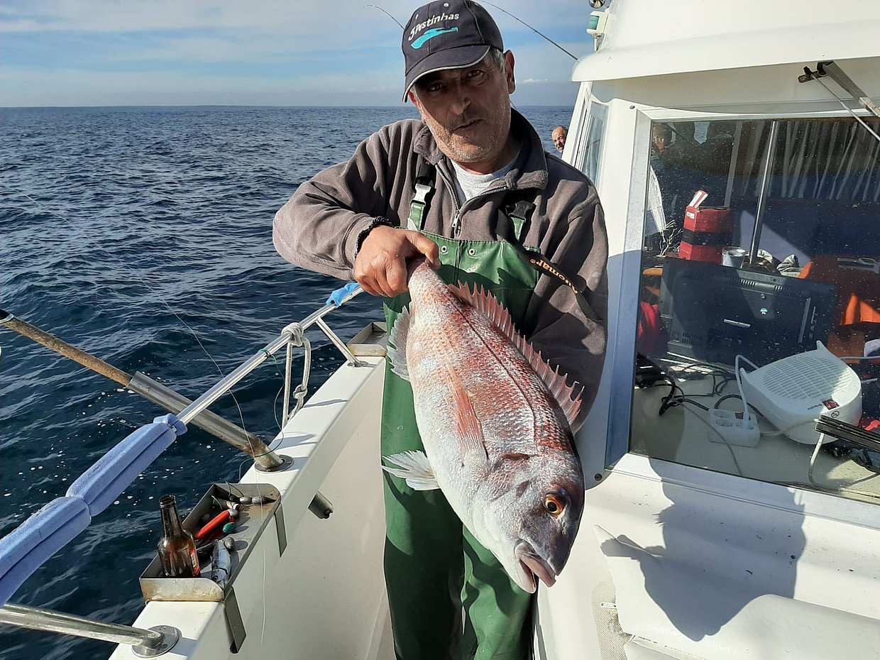 4 hour Private Fishing Trip- Up to 10 people in Portugal, Cascais, photo 5