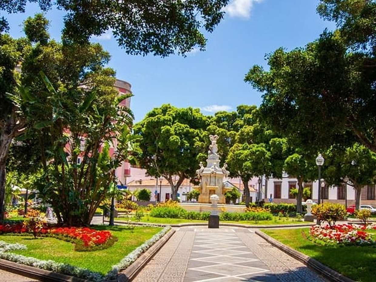 Tenerife Scavenger Hunt & Highlights Self-Guided Walking Tour, photo 3