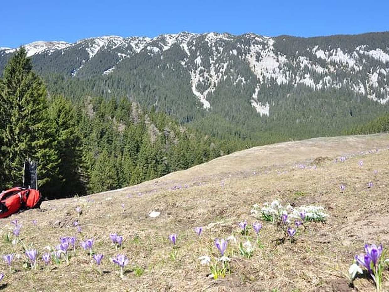 "Piatra Craiului Nationalpark Private Wandertour ab Brasov in Rumänien, Brașov", photo 4