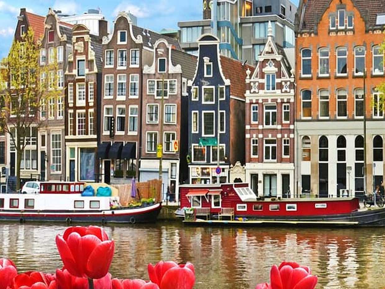 Private transfer from Rotterdam to Amsterdam, 2h Stop in Haarlem in Netherlands, photo 2