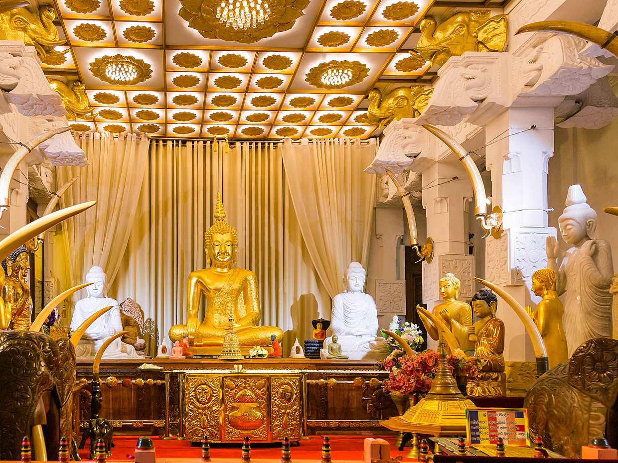 Kandy Day Tour with Culture in Sri Lanka, photo 2