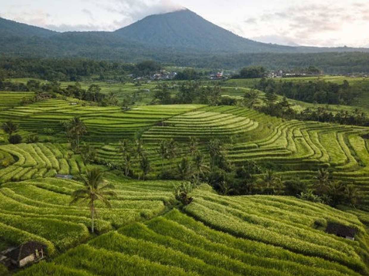 Romantic Bali Full-day Tour, Indonesia, photo 4
