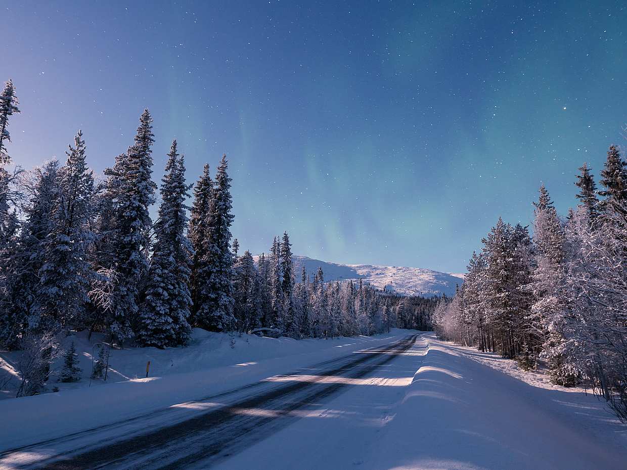 Finlandiya'daki (Pallas-Yllästunturi) Milli Park'ta, Kittila Kar Ayakkabısıyla Yürüyüş Milli Park'ta Kar Ayakkabısıyla Yürüyüş, photo 3